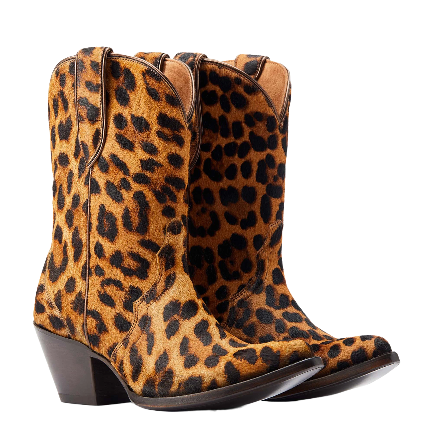 Ariat® Ladies Bandida Leopard Hair On Western Boots 10044393 Ariat® Ladies Bandida Leopard Hair On Western Boots 10044393 -Ariat Shop Myproject 2023 05 03T131300.116